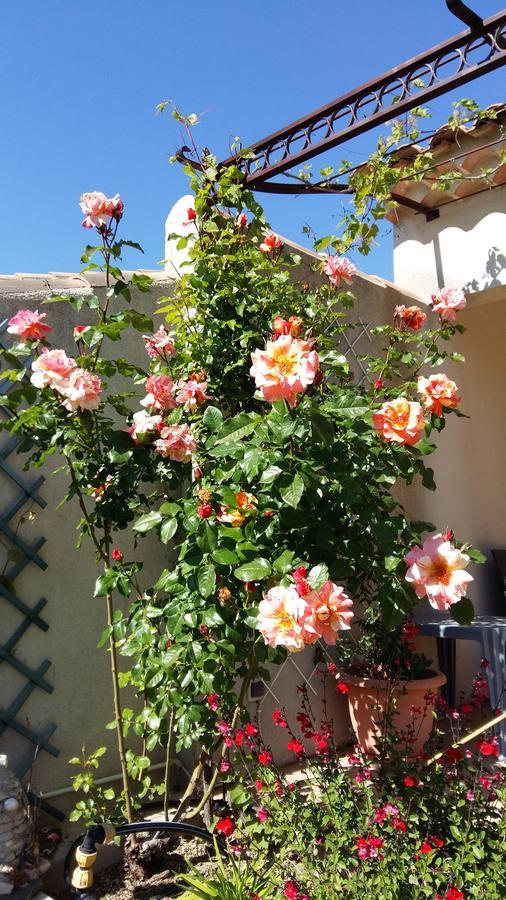 Au Bon Penequet Bed & Breakfast Pujaut Dış mekan fotoğraf